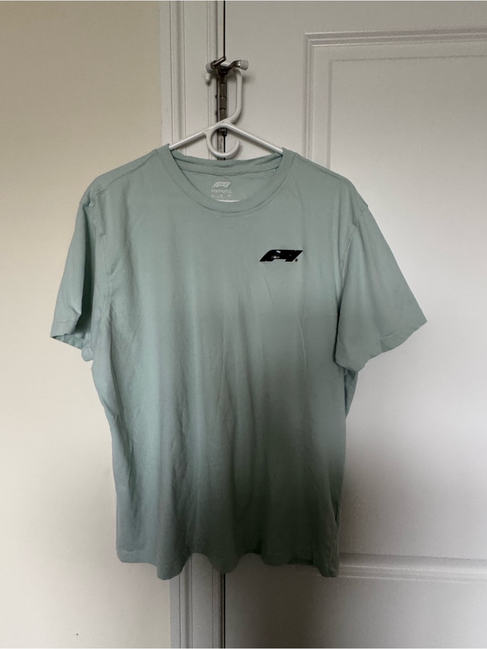 Formula 1 - Men’s XL - Mint Green Logo T-Shirt - F1 Racing
